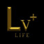 Lv. Up Gaming