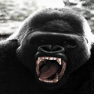 XANTARESPEEK I triple s