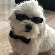 失败才是人生常态