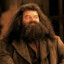 Rubeus Hagrid