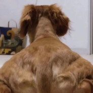 我的眼睛就是尺