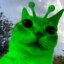 ALIENCAT