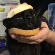 特鲁看着小玉，老爹要拉个大电