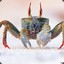 MR. CRABS