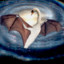 Bat The Swanson