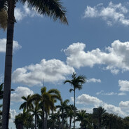 alex_ber - steam id 76561199144108147