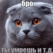 Дырявая Сучка