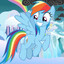 !!_Rainbow Dash_!!