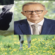 🐄Cowbanese🐄