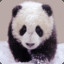 ★Amazing-Panda`℡