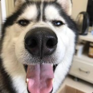 你见感情放过谁