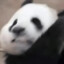别盗号了求求啦没钱的