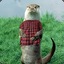 Otter