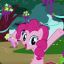 Pinkie pie