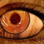 Wood_eye