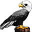 Skyar