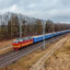 artemsvinarnik