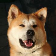 ﮐדּסּиєүﮐ - steam id 76561197965583350