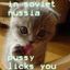 Soviet Kitty