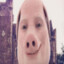 John Pork