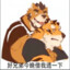 脚臭熊1s