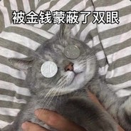 吃的超多阿