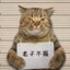 O1