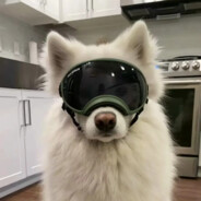 你为什么不突破