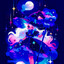 Midnight_Panda