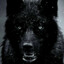 BLACK_WOLF