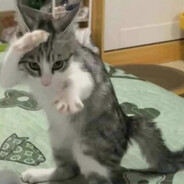 Kanoooooon
