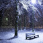 风雪夜归人