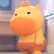 满脑子的水豚噜噜