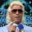 Ric Flair