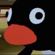 PENGU~