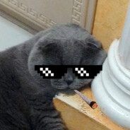 Бебра