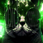 void