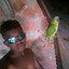 cLaudiNei-.-$aNt0$