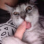 Фекальный Монстр's avatar