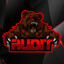 Audit