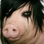 sad pork