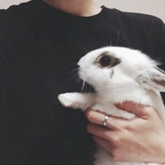 今天一定要早睡