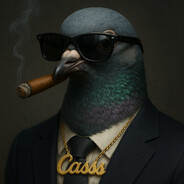Casss™