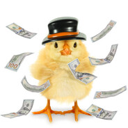 CHICKEN MONEY