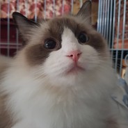 來~摸摸看叔叔這邊