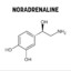 NORADRENALINE