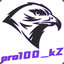 pro100 kZ \b\