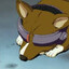 skylandersisfun_2012