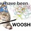 CatSayingWoosh