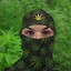 Ninja-Weed